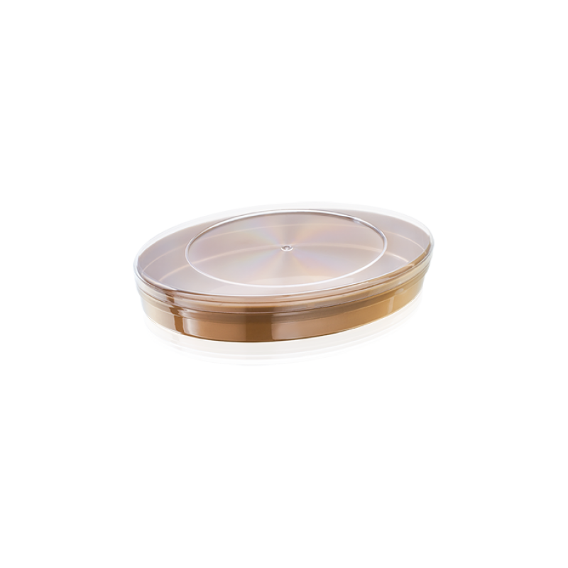 BY 409 250 CC Melodi Gold Elips Kutu (360 Adet)