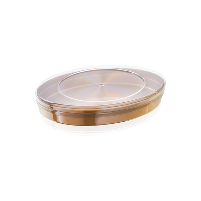 BY 409 250 CC Melodi Gold Elips Kutu (360 Adet)